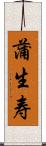 蒲生寿 Scroll