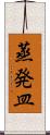 蒸発皿 Scroll