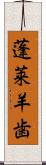 蓬莱羊歯 Scroll