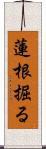 蓮根掘る Scroll