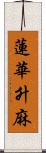 蓮華升麻 Scroll