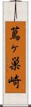 蔦ヶ巣崎 Scroll