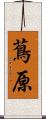 蔦原 Scroll