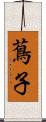 蔦子 Scroll