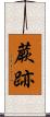 蕨跡 Scroll
