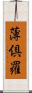 薄倶羅 Scroll