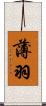 薄羽 Scroll