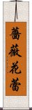 薔薇花蕾 Scroll