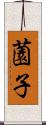 薗子 Scroll