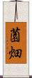 薗畑 Scroll