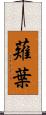 薙葉 Scroll
