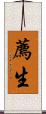 薦生 Scroll
