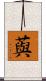 藇 Scroll