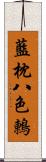 藍枕八色鶇 Scroll