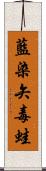 藍染矢毒蛙 Scroll