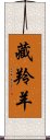 藏羚羊 Scroll