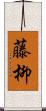 藤柳 Scroll
