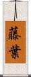 藤葉 Scroll