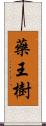 藥王樹 Scroll