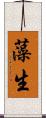 藻生 Scroll
