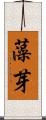 藻芽 Scroll