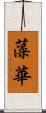 藻華 Scroll