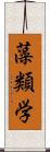 藻類学 Scroll