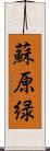 蘇原緑 Scroll