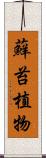 蘚苔植物 Scroll
