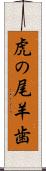 虎の尾羊歯 Scroll
