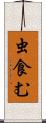 虫食む Scroll