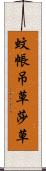 蚊帳吊草 Scroll