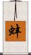 蚌 Scroll