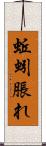 蚯蚓脹れ Scroll