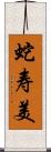 蛇寿美 Scroll