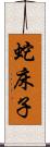 蛇床子 Scroll