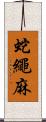 蛇繩麻 Scroll