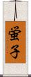 蛍子 Scroll