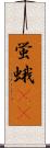 蛍蛾(rK) Scroll