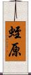 蛭原 Scroll