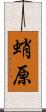 蛸原 Scroll
