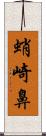 蛸崎鼻 Scroll