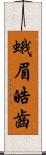 蛾眉皓齒 Scroll