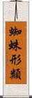 蜘蛛形類 Scroll