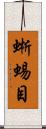 蜥蜴目 Scroll
