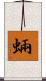 蜽 Scroll