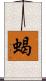 蝎 Scroll