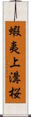 蝦夷上溝桜 Scroll