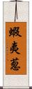 蝦夷葱 Scroll