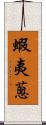 蝦夷蔥 Scroll